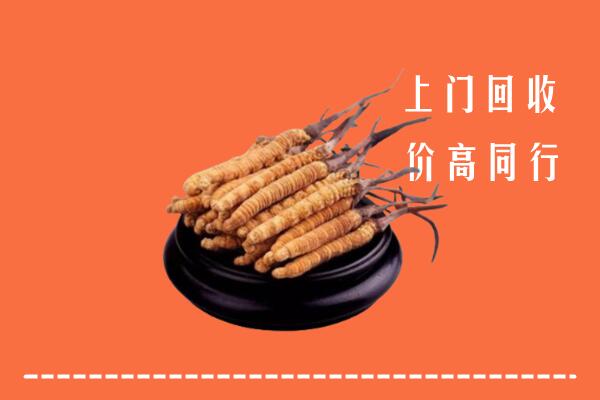 高价求购：濮阳回收散虫草