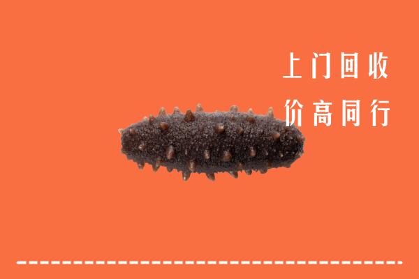 高价求购：濮阳回收海参