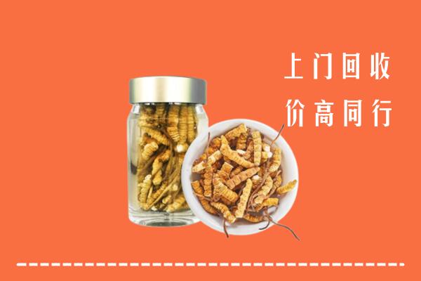 濮阳回收冬虫夏草