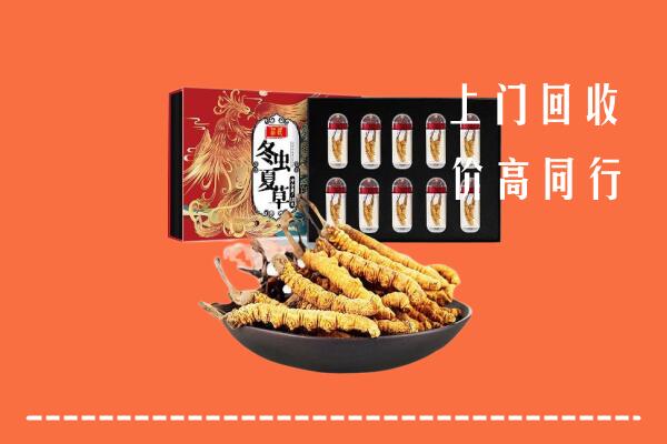 濮阳回收虫草